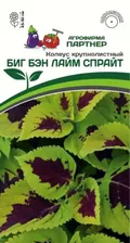 Колеус крупнолистный БИГ БЭН ЛАЙМ СПРАЙТ 5 шт
