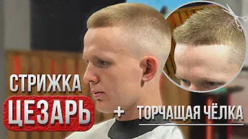 Мужская стрижка | Стрижка Цезарь | Caesar | Barber | Барбер | Фейд | Fade | Мужские стрижки 2024 |