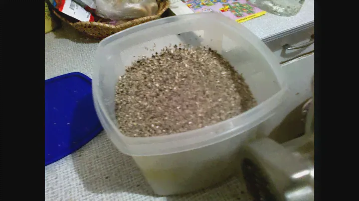 СЕМЕЧКИ ЧЕРЕЗ МЯСОРУБКУ?ДА ЛЕГКО...