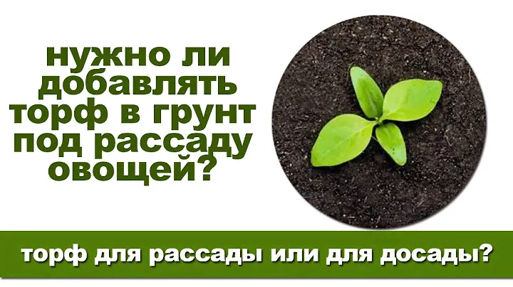 Нужен ли торф для рассады и чем его можно заменить?