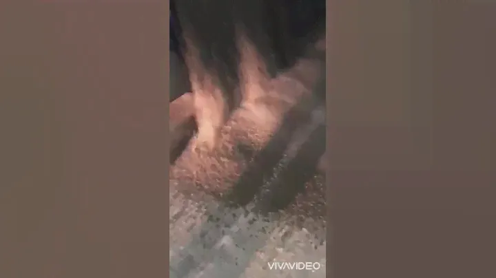 Шрот подсолнечный