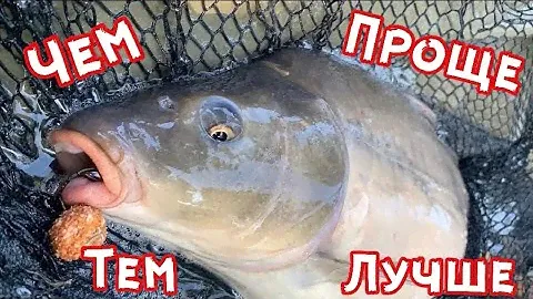 Работа с Шайбами и Сферическим пелетцем Big Fish.