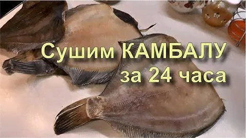 ✅ Камбала Ёрш Вяленая к Пиву. Быстро, Вкусно и Просто Рецепт