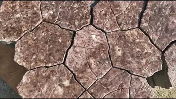 Тротуарная плитка и бордюры в Махачкале