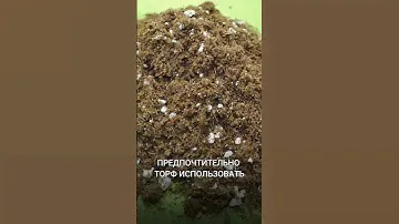 ТОРФ В КАЧЕСТВЕ СУБСТРАТА