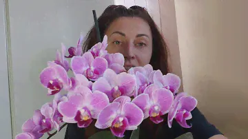 НЕ РАЗРЕШАЙТЕ ОРХИДЕИ ЦВЕСТИ это ОПАСНО для ЖИЗНИ/ Исправляю ошибки и пересаживаю ОРХИДЕЮ в МОХ