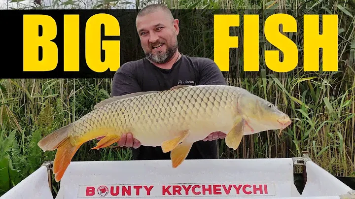 Ловля БОЛЬШОЙ РЫБЫ рыбалка на карпа прикормка на BIG FISH