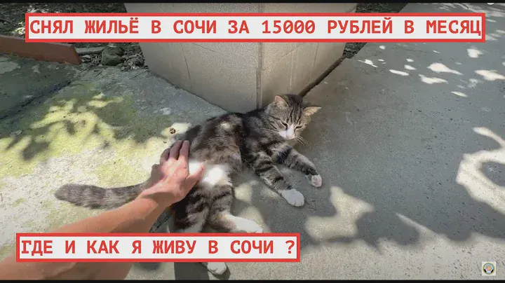 АДЛЕР СЕЗОН 2023 / ЖИЛЬЁ В СОЧИ ЗА 15000 РУБЛЕЙ В МЕСЯЦ