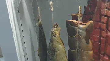 Юкола нерки, горбуша, омуль, муксун холодного копчения 👍