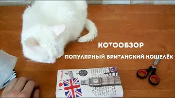 Обзор # 6 Котовыпуск. Обзор на женский популярный кошелек/Women's wallet