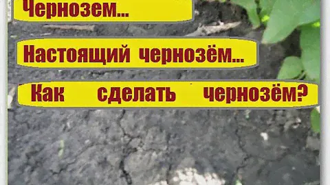 171_Чернозём!   Возможно вы этого не знали...