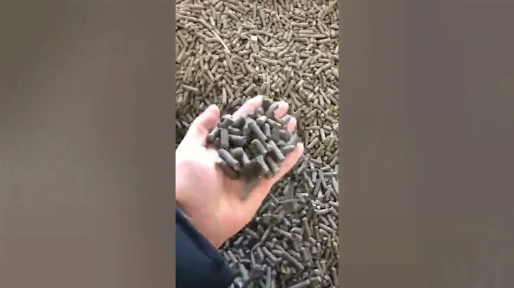 Шрот рапсовый, подсолнечный жмых оптом