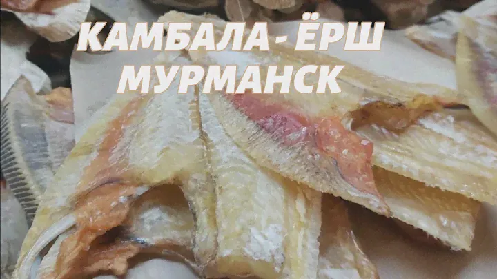 ВКУСНЫЙ ВЯЛЕНЫЙ КАМБАЛА-ЁРШ. ЗОЛОТАЯ РЫБКА ИЗ МУРМАНСКА. "GOLDFISH FROM MURMANSK. FLOUNDER-RUFF".